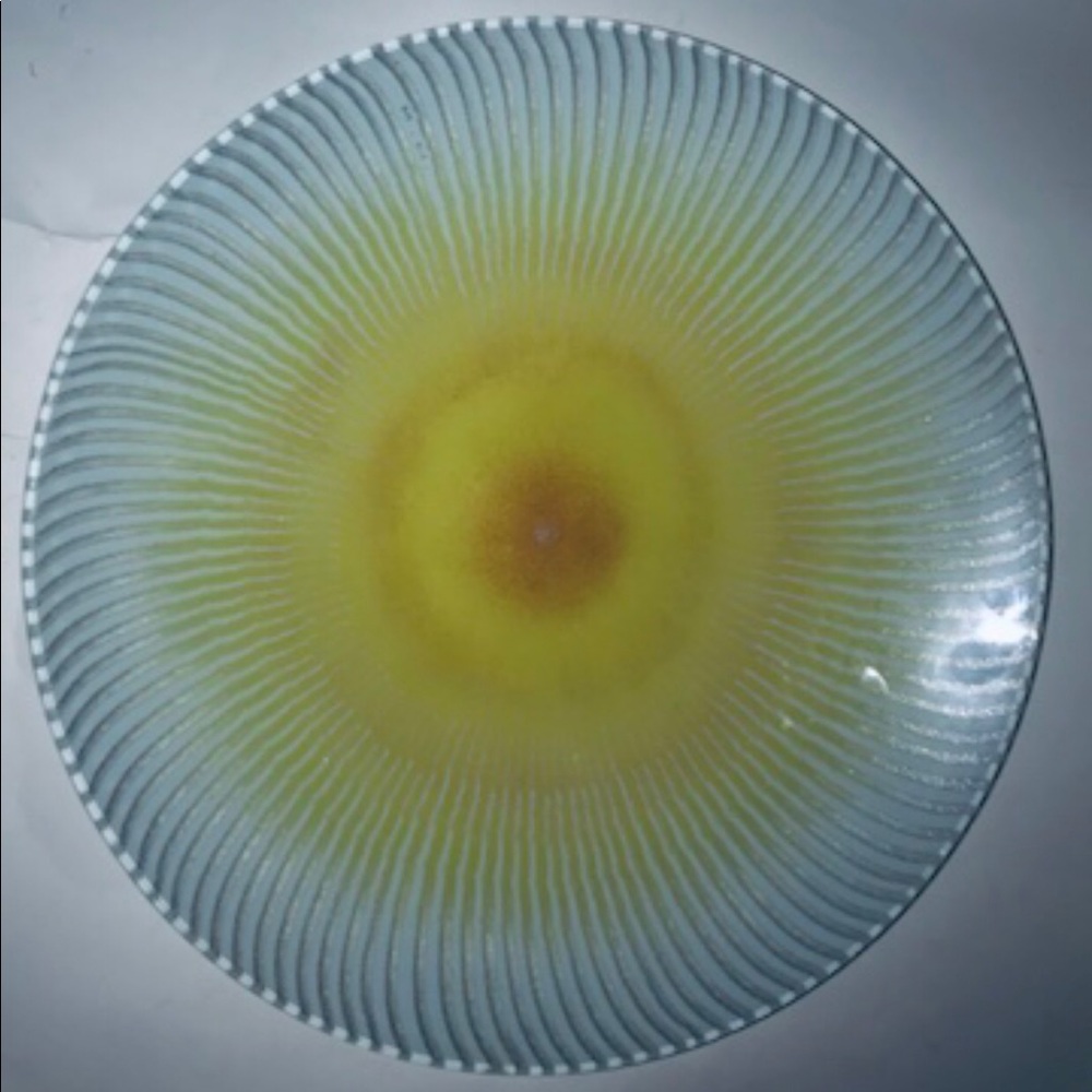 New Maurice Heaton Large Art Glass Plate